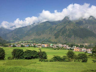मिर्मिका युवा खेली र रोइला संरक्षण अभियानमा