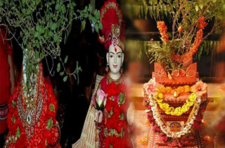 आज हरिबोधिनी एकादशी, तुलसी–विवाह गरिदैं